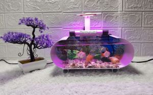 "White series" Aquarium minimalis air mancur/ikan hias/hiasan lampu kamar tidur/hiasan meja kantor
