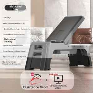 OTEN | Multifunction Home Gym Bench Adjustable Sit-Up And Push-Up Training
