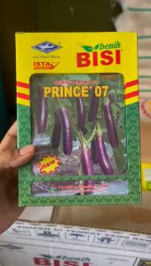COD Benih Terong Hibrida F1 Prince 07 [10gr]