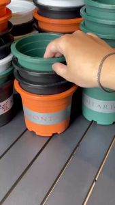 Chậu nhựa trồng cây VIETPOT size13x11cm MONTARIO trồng hoa kiểng để sân vườn để bàn.