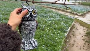360° Rotating Head Owl Decoy / Plastic Owls To Scare Birds Away And Control Garden Pests