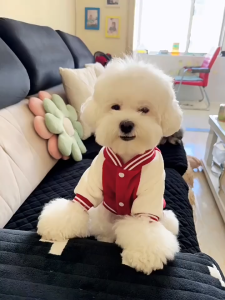 Pet Dog Cat Baseball Uniform Jacket Winter Clothes Autumn Dog Jacket Warm Puppy Coat