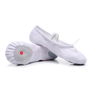 Classical Dancing Dress Female Elegant Gauze Clothes Chinese Classic Dance Grading Exercise Clothing Children Body Charm Fairy Elastic Performance Costumes