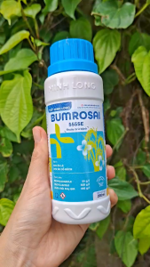 [THIEN THINH SHOP] Trừ Đạo Ôn Lá Đạo Ôn Cổ Bông Trên Lúa Hiệu Quả Nhanh Bảo Vệ Năng Suất BUMROSAI 555SE Chai 200ml