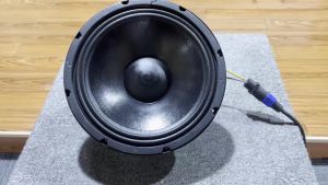 Professional speakers  8 ohms 800 watts 12 inch
