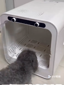 เครื่องเป่าขนสัตว์เลี้ยง Pet Dryer Room 75L ของแท้ Pet Dryer Room รูปแบบพลังลมมี 3 เกียร์ม เป่าแห้งภายใน เครื่องเป่าขนแมว