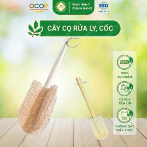 Cây Cọ Rửa Cốc Ly 4 Cánh Bằng Xơ Mướp KB Ecolife Không Gây Trầy Xước Cho Sản Phẩm Khi Sử Dụng