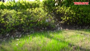 YAMATIC Heavy Duty Garden Hose 5/8 in x 100 ft with Swivel Handle Super Flexible Water Hose