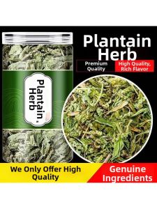 Wild Dandelion Tea Uric Acid Reducer