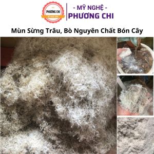 Mùn sừng trâu bò nguyên chất bón cây cảnh cây ăn quả bón rau củ quả và hoa màu | Mỹ Nghệ Phương Chi
