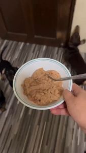 430g Dog Pure Natural Organic Wet Food Canned Food Goodest For Puppy Weight Gain Wet Food In can