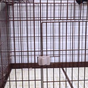 Dog Drinking Fountain Hanging Pet Automatic Water Feeding Dog Cage Hanging Kettle Bunny Cat Drinking Dog