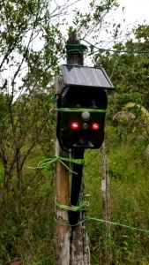 Pennghalau Halau Anjing Kucing Burung Monyet Gajah Binatang Liar Kebun Upgraded Solar Animal Repeller Motion Sensor Pest Reject Dog Cat Mouse Bird Bat Pig Snake Garden