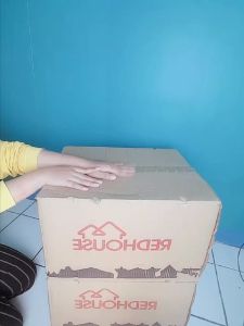 luckysetore22-produklRED HOUSE Gantungan Tempel Magic Hook Tempel Ajaib Kait Tempel Kamar Mandi merek Panda