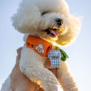 Lost Pet Dog Tag Embroidered Name Phone Picture Anti-Lost Medium Red Tag Customizable Pet Accessories Hanging Decorations