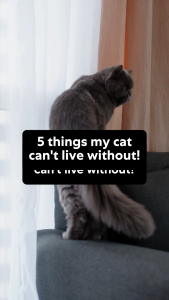 [BUY 3 FREE 1] Sheba Melty Cat Treats Adult Cat - Choose Flavor 48g (3 Packs)