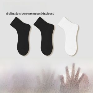 MiiOW | ถุงเท้าผ้าไหมฤดูร้อนสำหรับผู้หญิง MiiOW Cat ถุงเท้ากีฬาแบบสั้นระบายอากาศได้ดี ตาข่ายโปร่งใส ทรงกลาง สไตล์เรียบง่าย