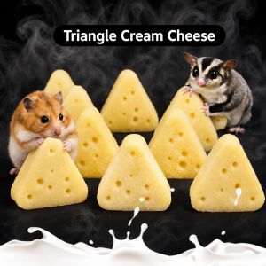 Dried Milk Cheese Treat For Hamster & Sugar Glider 🧀