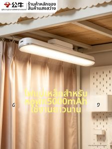 Bull | Eye Protection Study Student Lamp