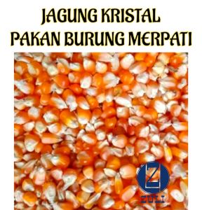 Jagung Kristal 1kg Pakan Burung Merpati/Dara