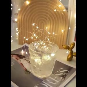 Battery Powered LED Fairy Lights Silver Wire String Lights for Garden Wedding Birthday Christmas Halloween Decoration