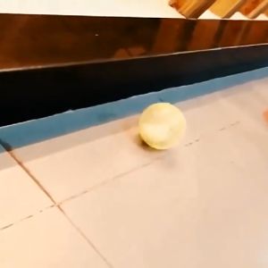 HD Plastic Small Pet Outdoor Sport Ball Grounder Jogging Hamster Pet Small Exercise Toy Rodent Mice Hamster - Twist Unlock Doors, Hours of Active Fun for Small Animals