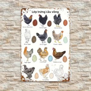 CIFbuy | Tranh Treo Tường Trang Trí Nhà Nông Thôn Phong Cách Cổ Điển Hình Gà Trứng Nhiều Màu Sắc Chất Liệu Kim Loại Không Khung Dành Cho Nhà Bếp.