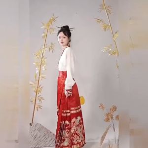 Phoenix Stream Mamianqun Hanfu Red Maxi Skirt 3-PC Set 10004-28