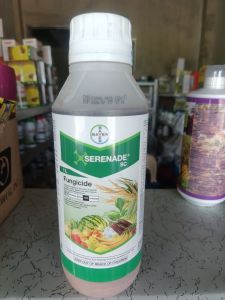 Bayer SERENADE SC Fungicide 1L for crops