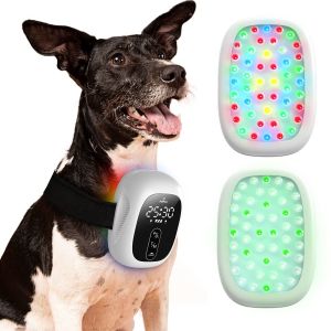 Thiết Bị Trị Liệu Bằng Ánh Sáng Đỏ Cho Chó Thiết Bị Laser Lạnh Di Động Dành Cho Thú Y 600-980nm Giảm Đau Chăm Sóc Cơ Khớp Viêm Khớp Chăm Sóc Thú Cưng