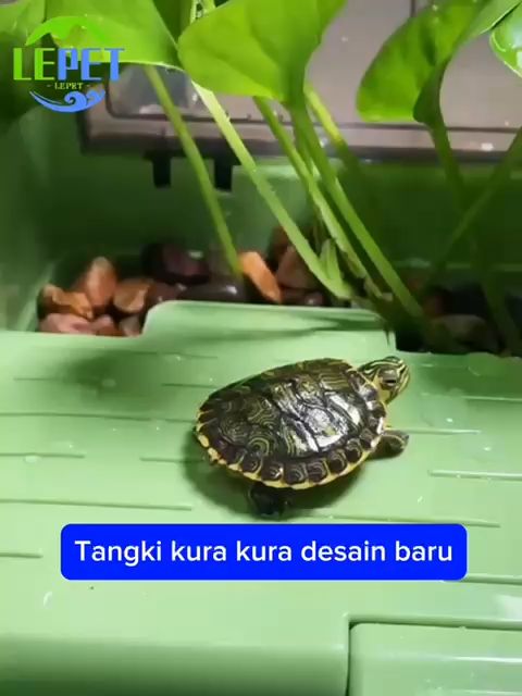 LEPET Turtle Enclosure Aquarium Tank GH07/GH09 / Kandang Kura ...