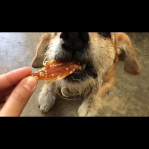 ไก่อบแห้ง 400 กรัม ขนมสุนัข สูงสำหรับสุนัข ขนมขบเคี้ยวสำหรับสุนัข ฝึกสุนัข ในรายการสุนัข