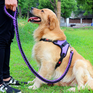 Thickened Eight Strand Dog Leash Chest Harness for Golden Retriever Labrador Medium Large Dogs Explosive Proof Pulling Rope