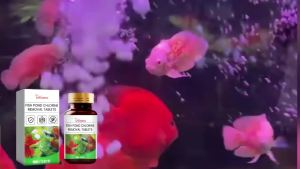 YEGBONG | Fish Tank Cleaner Tablets Water Purification Moss Control Remove Impurities Aquarium Cleaning Freshwater Water Chlorine Remover