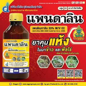 เพนดิเมทาลิน 33% แพนดาลิน แอ็กโกร ยักษ์ใหญ่ คุมแห้ง ในนาข้าว สวนหอม กระเทียม ขนาด 1 ลิตร