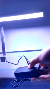 FROK Planted Tank Lights: A Guide to Color Changing & LED Plant Growth Lamps