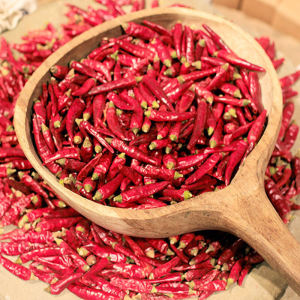 Extra Hot Full Sky Star Dried Chilies Sichuan Guizhou Commercial Loose Dry Goods Xiaomi Tian Peppers Chilli Powder Condiment