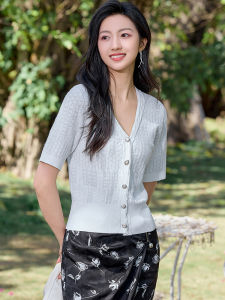 WANGGONGZHU | Princess Style Ice Silk Knitted Hollow Out Short Sleeve Womens T-Shirt Comfortable Slimming Overhead Top For Summer 2024