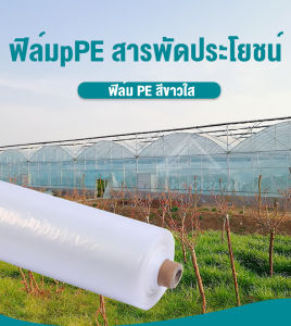 กระจาย 120x150x7% พลาสติกPE 4x5 3x10 4x10 5x7 5x10 6x10 6x15 ผู้ที่ต้องการดู ซึมหลังคาเรือนกระจก ผู้ที่ต้องการรับประสบการณ์ผิวของอาคาร