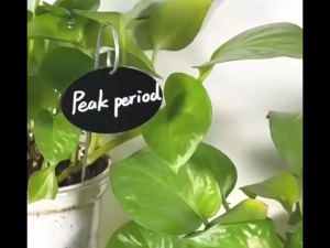 10 PCS Black Acrylic Plant LabelSmooth Label Surfacefor DIY Herb and Vegetable Classification
