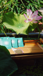 Trà Tim Sen Shan Tuyết Tây Côn Lĩnh Sunbeleaf - Chống Lão Hóa An Thần Ngủ Ngon Và Bảo Vệ Tim Mạch - Hộp 20 Gói