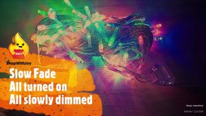 ShopWithJoy Birthday Party Decoration LED Light Christmas Fairy light Decor Lampu Raya Kelip Lip Lap Lampu Led Raya