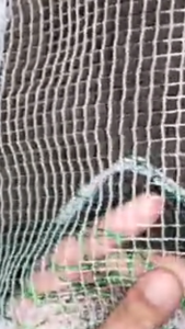 Lưới Quét Cá - Lưới Vét Cá - Lưới Kéo Cá 2m Dài 10m Túi 4m Kéo Nhẹ Gom Cá Nhanh Chất Lượng Cao Giá Tại Xưởng - SaFami Store