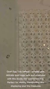 24 Slot White Quail Egg Tray for Animals Compact and Durable Storage Solution for Fresh Eggs for Animals