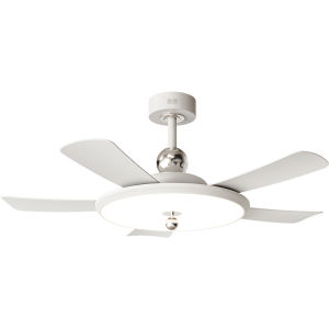 HUIPU ZHAOMING | Eye-protective Intelligent Control Fan Ceiling Light
