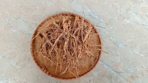 1kg rễ cây cỏ xước tươi hữu cơ