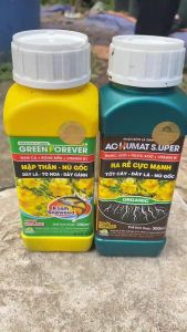 PHÂN BÓN RA RỄ MẬP THÂN NÙ GỐC MAI CẶP CHAI 300ML