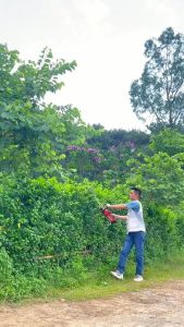 Thân Máy Cắt Tỉa Hàng Rào Cây Cảnh Dùng Pin Chân Phổ Thông 4cm