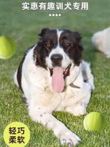 Dog Toy Ball Rubber Tennis Ball Teeth Grinding Relief Boredom Self Entertaining Toy for Corgi Golden Retriever Puppy Training