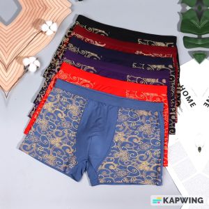 Celana Dalam Pria 2 pcs Underwear Boxer Ice Silk Ukuran 2XL (70 – 77.5 kg) 787